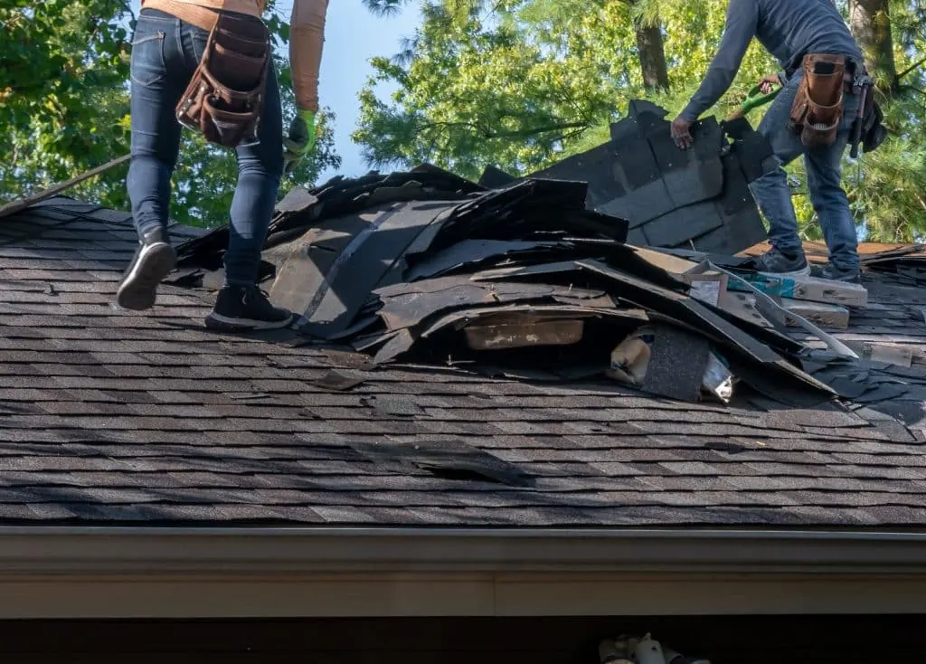 Wind Damage
